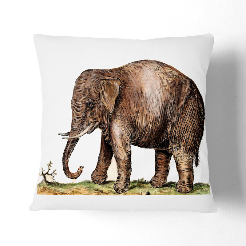 Square Throw Cushion, 55cm H x 55cm W x 20cm D