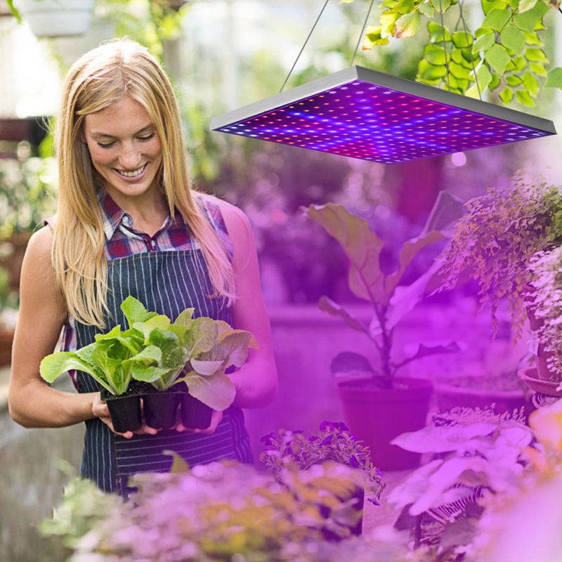 Full Spectrum 15W LED Grow Light with 225 LEDs for Indoor Plants