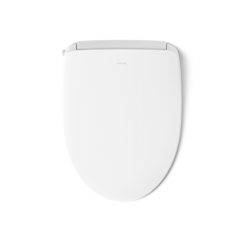 Elongated Bidet Toilet Seat With Remote Control