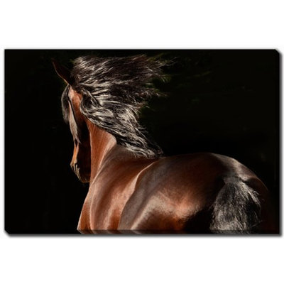 Reflection Canvas Art