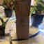 Customer photo 3 of 4