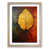 Oak Framed is unavailable