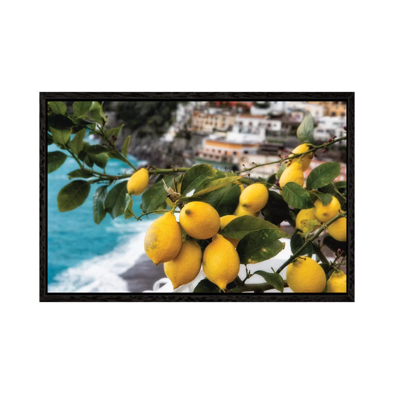 Close Up View Of A Lemon Tree With Fruit, Positano, Amalfi Coast, Campania, Italy by George Oze - Print on Canvas