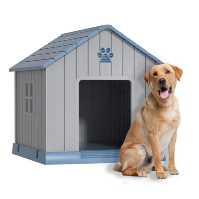 blue A-frame dog house