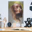 «Am Water Spaniel» par Barbara Keith-1584492133