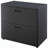 30'' Wide 2 -Drawer File Cabinet-59866318