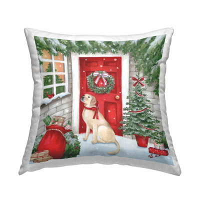 Throw Pillow