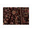 Wool Oriental Area Rug
