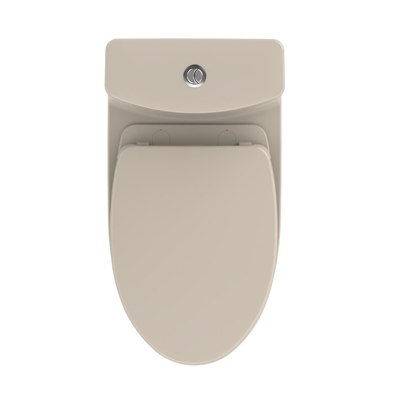 Aquia® Dual-Flush Elongated One-Piece Toilet with Tornado Flush (Seat Included)