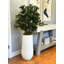 Olive Tree Artificial in Fiberstone Planter