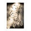Art sur toile, bolognaise, bolognaise-103103484