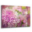 Art mural en verre Lark Manor ™ «Pink Dahlias» par Carol Cavalaris, 36 po x 24 po