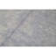 Area Rug in Blue