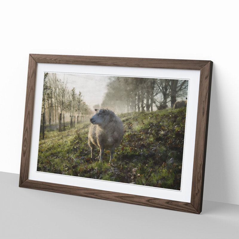Woolly Sheep - Picture Frame Graphic Art, 48cm H x 65cm W x 2cm D, Walnut Framed