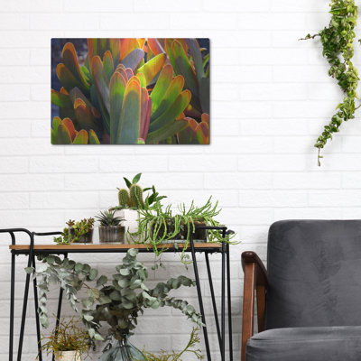 " Succulents III " by Dennis Frates