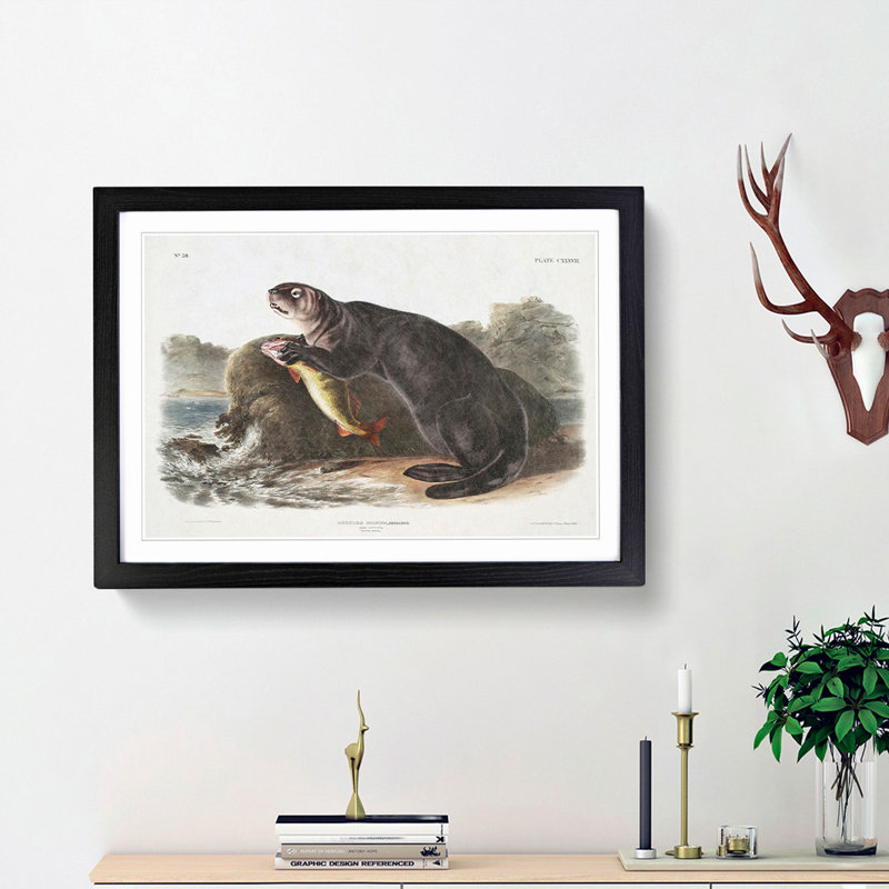 Sea Otter by J.W. Audubon - Picture Frame Painting Print, Black Framed, 27cm H x 36cm W x 2cm D
