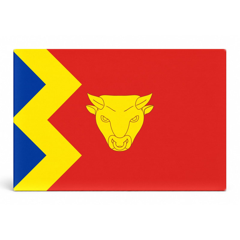 «Birmingham City Flag», art mural sur toile UK, H 12 po x l 18 po