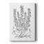 B&W Plant Spechantillon V - galerie sur mesure-117868485