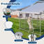 Dog House-2088835231