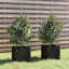 Alatea Wood Planter Box-967479408-967479410