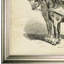 « équin plate i », reproduction-28042315-28042144-28042319
