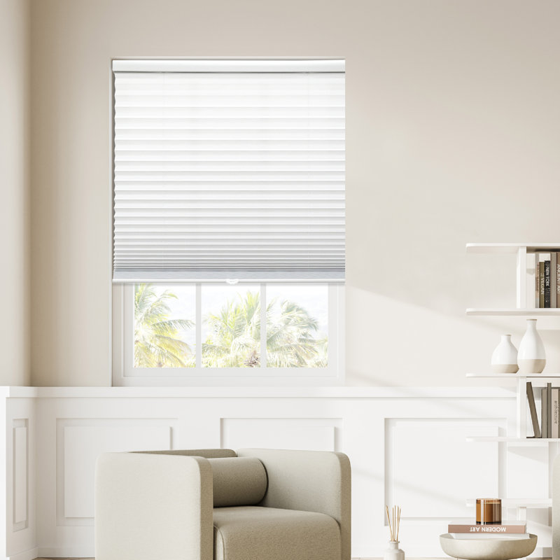 Coursey 1 inch Cordless Semi-Sheer Light Filtering Pleated Shade, 34"W x 64"L, White