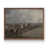 Noyer