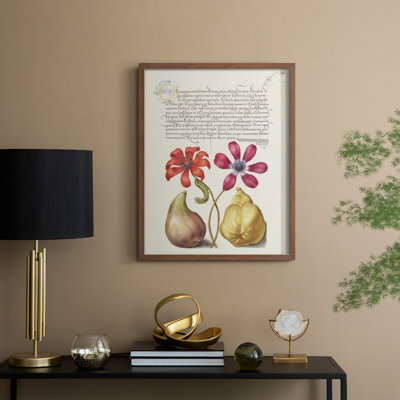 Reproduction encadrée de Hoefnagel, «Tropical Specples» - bois massif