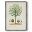 Arbre antique avec fruit, reproduction encadrée en bois massif-1941689862