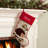 Forest Friend Hedgehog with Custom Name Stocking