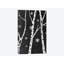 « snowy birches iii » par mary urban, impression sur toile-31924904-73621913-73621907