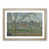 Oak Framed selected