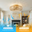 Ventilateur de plafond en cristal 19,7 po avec ensemble d'éclairage, application et télécommande