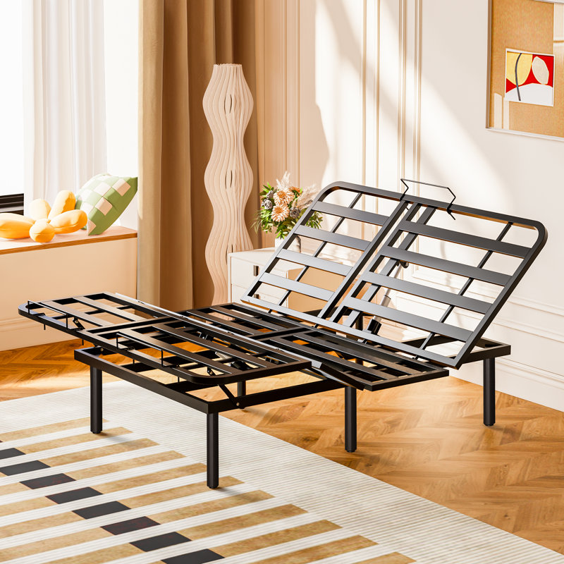 Leniece Queen Adjustable Bed