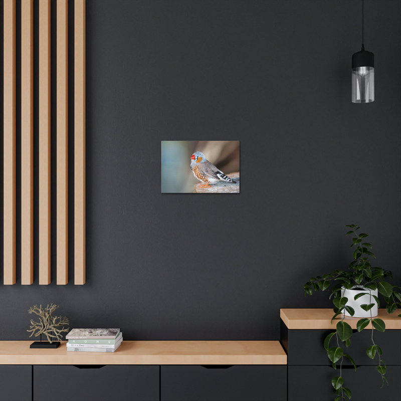 No Frame Print on Canvas, 30.48cm H x 45.72cm W