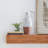Ceramic Handmade White Decorative Vase with Terracotta Accents-450911903