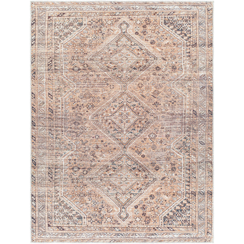 Theia Oriental Area Rug, Rectangle 200 x 275cm