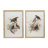 S/2 Bird Framed Print