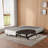 1500lb Heavy Duty metal box spring - 6-inch full box spring ,Noise-Free Mattress Foundation with Removable Washable Cover, Tool-Free Assembly-114031201