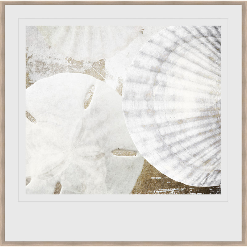 " White Shells II "