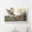 Pinnated Grouse Birds by John Audubon - Wrapped Canvas Painting-55330232