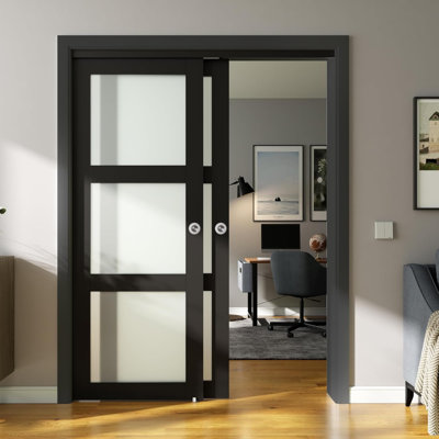 BLACK BYPASS SLIDING CLOSET DOORS