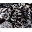 Tapis floral Brandt-124453817-35996896