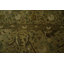 Élégant tapis oriental vert Agra 10 x 14