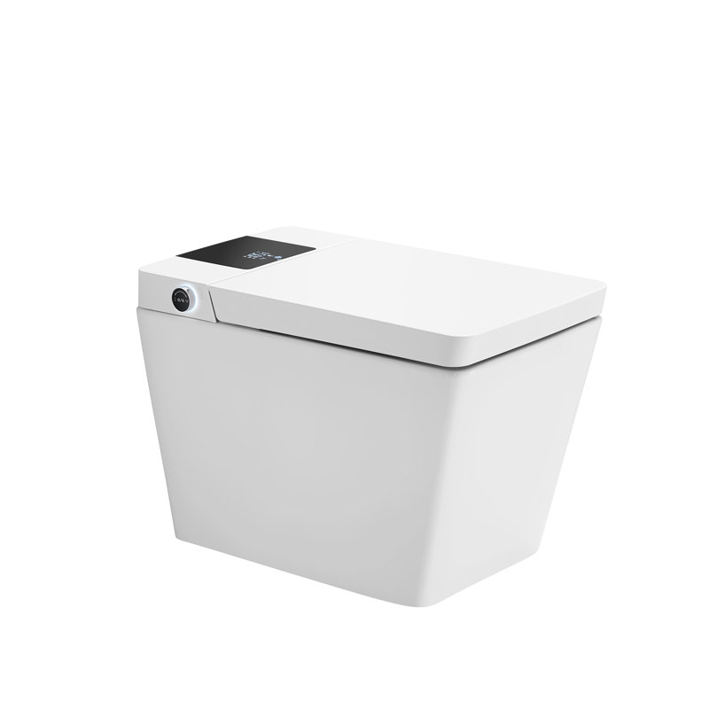 15-3/5'' H Floor Mount Smart Toilet with Water Tank and Quiet-Closed Heated Seat, Matte Gray with Water Tank