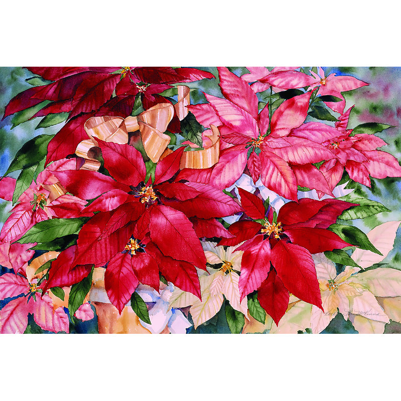 «Poinsettia» par Kathleen Parr McKenna - reproduction, H 8 po x l 12 po, Non, Wrapped Canvas