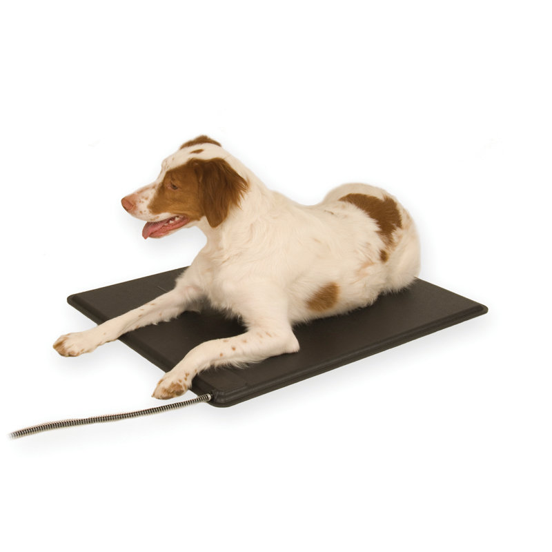 Tapis pour chenil Deluxe, l 22,5 po x P 16,5 po x H 0,5 po