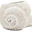 Jardinière décorative texturée beige sable et ciment 8,3 po x 7 po x 4,7 po pour décoration bohémienne avec plantes grasses-130115751