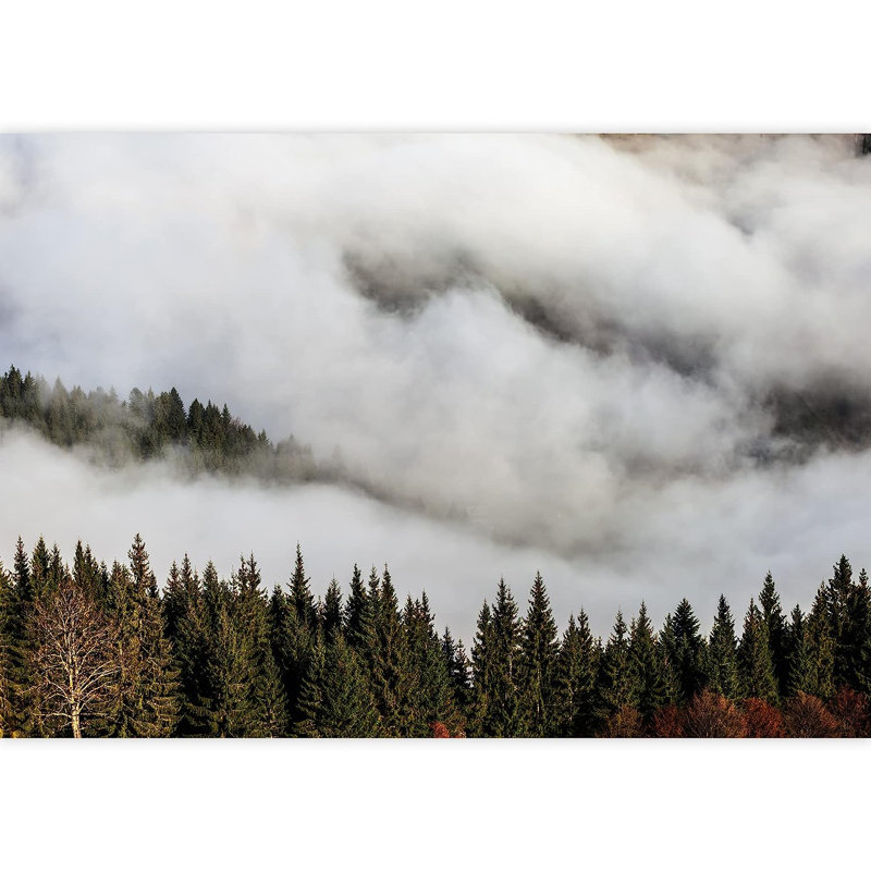 Peel & Stick Border, 66" L x 96" W