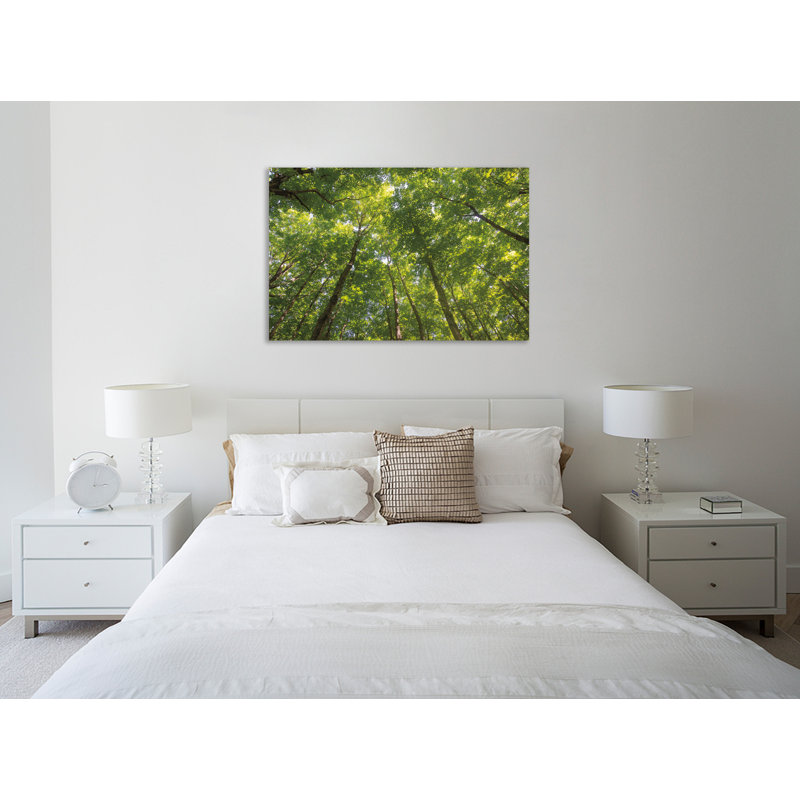«Hardwood Forest Canopy IV», toile tendue par Alan Majchrowicz, H 32 po x l 48 po x P 1,5 po